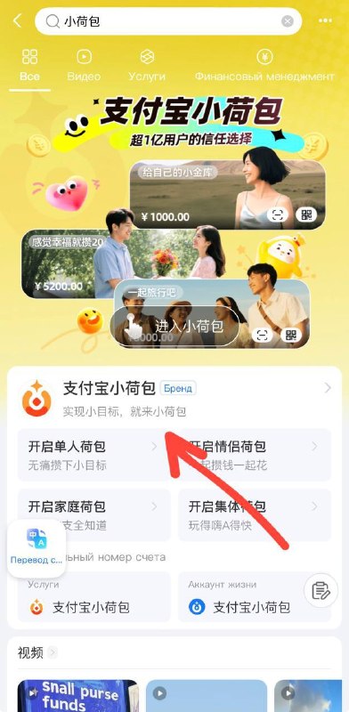 Раздел 小荷包 в Alipay